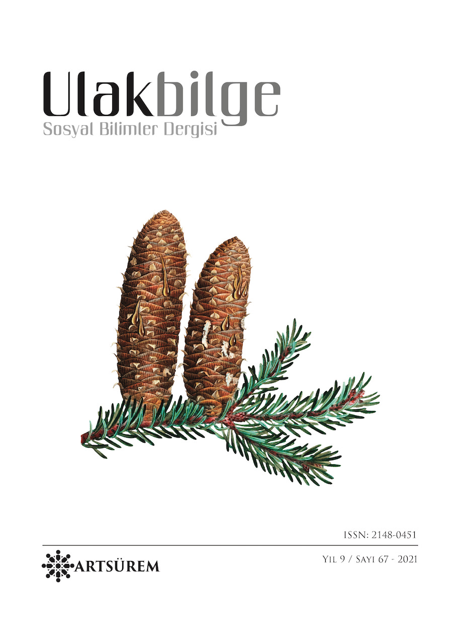 Cilt 9 Sayı 67 kapak